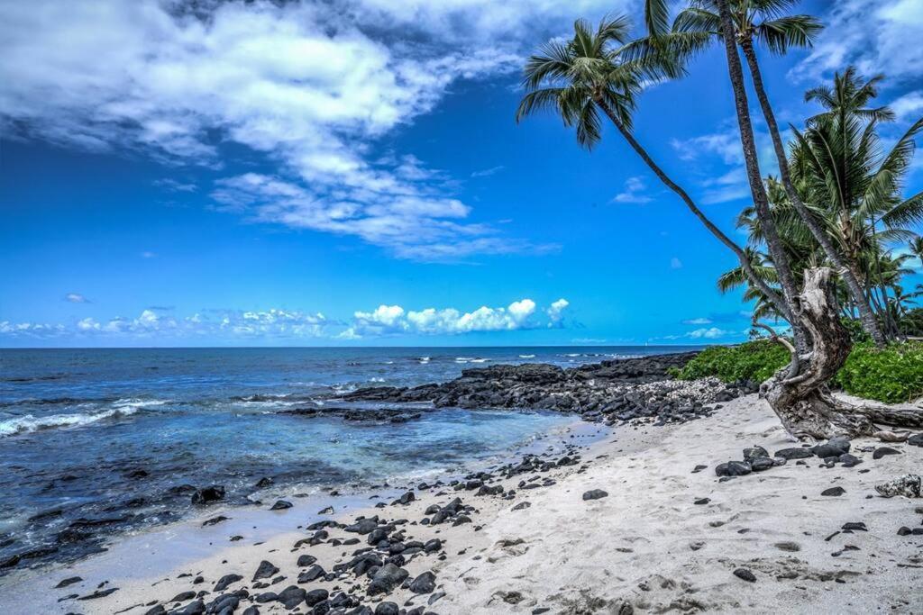 Newly Upgraded 1Br Unit Near Beach Max Of 5 Guests Kailua-Kona Esterno foto